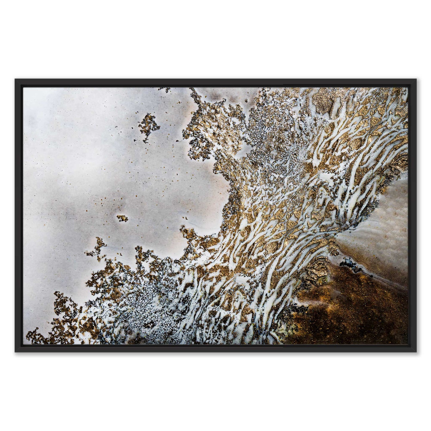 Aztec Whispers Canvas Print