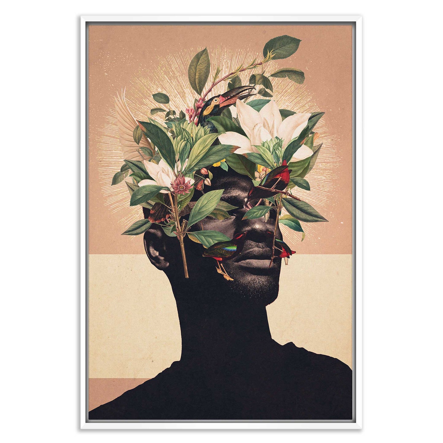 Birds are my Real Origin