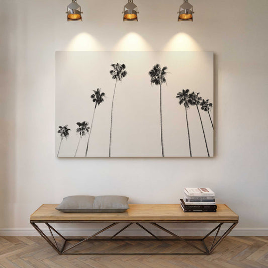 Black and White Palms