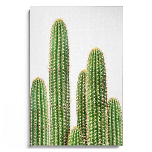 Cactus 2