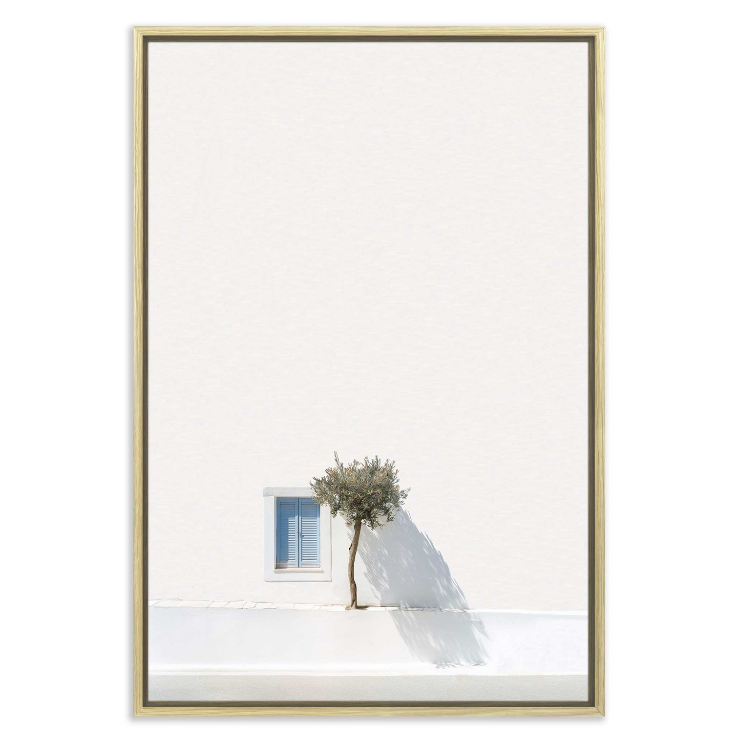 Greek Tree Leinwandbild