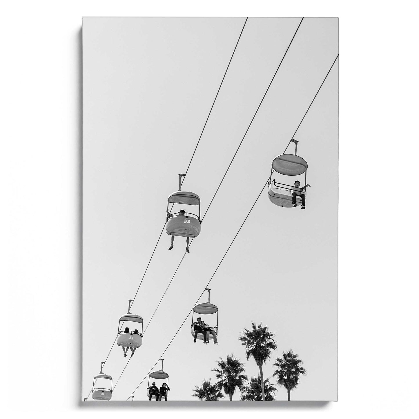 Shoreline Perspectives