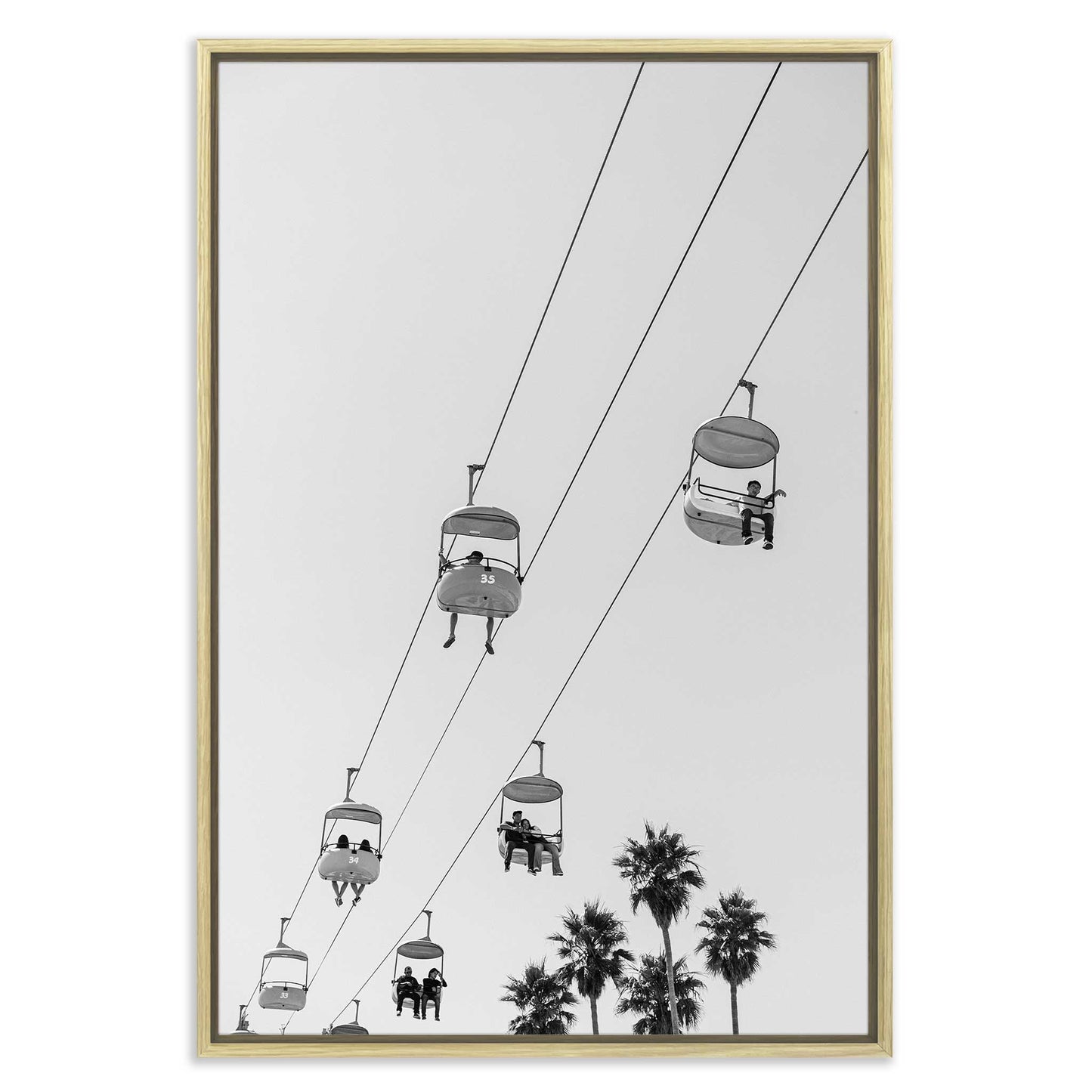 Shoreline Perspectives