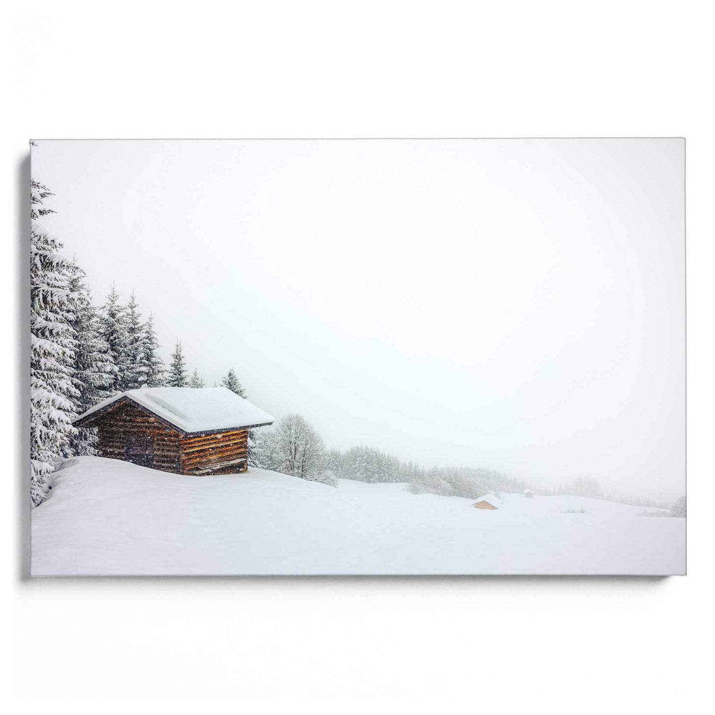 Snow Landscape