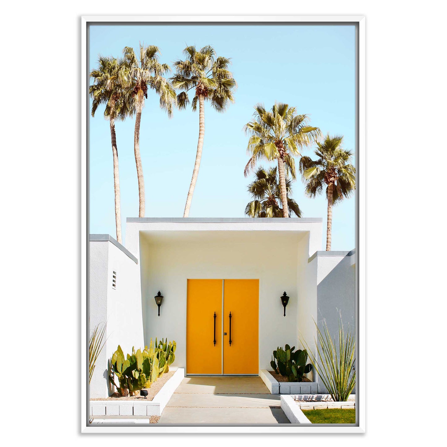 Welcome To Palm Springs