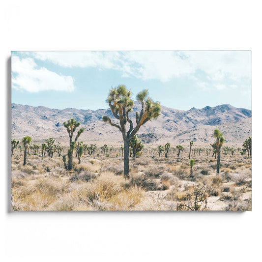 Wild West