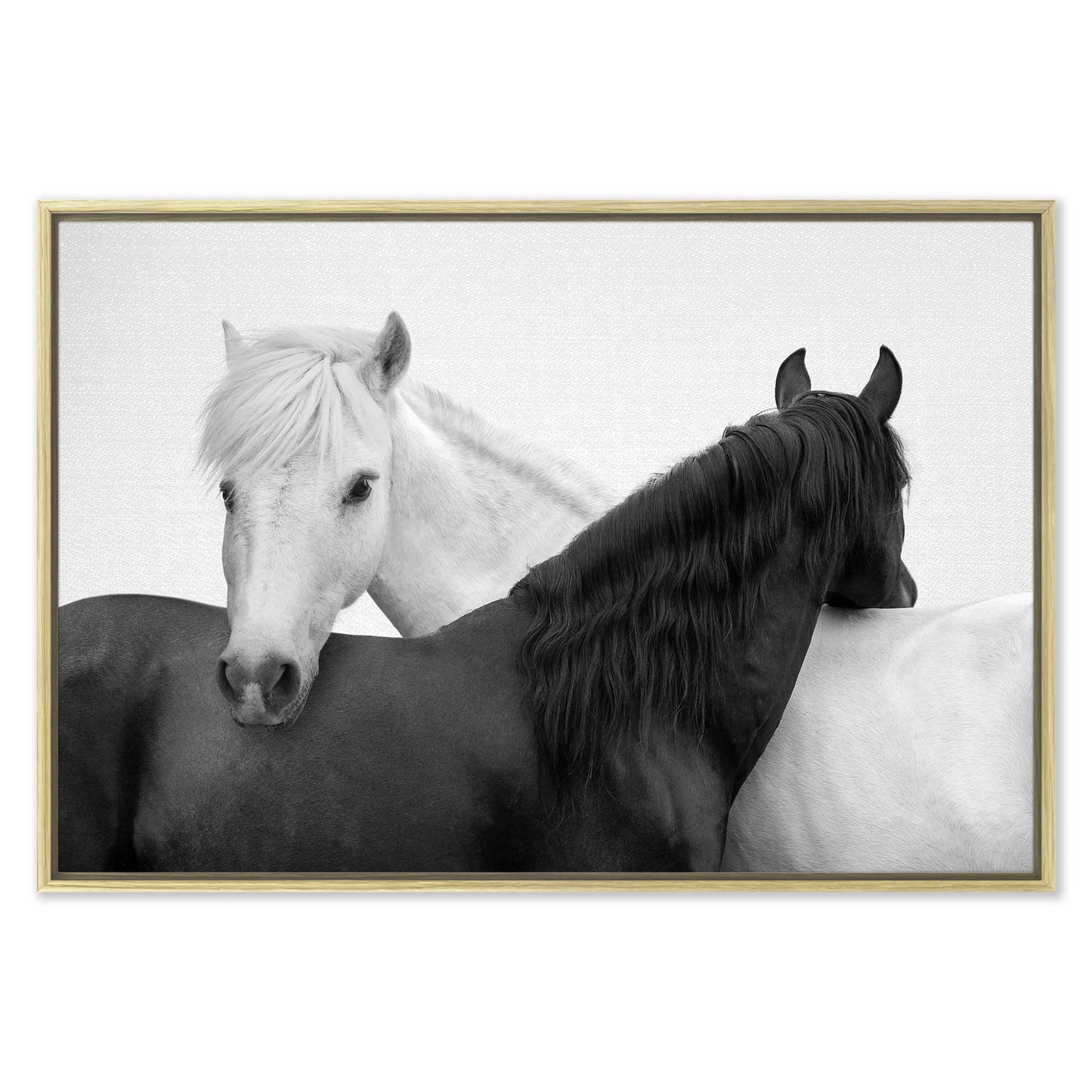 Yin and Yang Horses