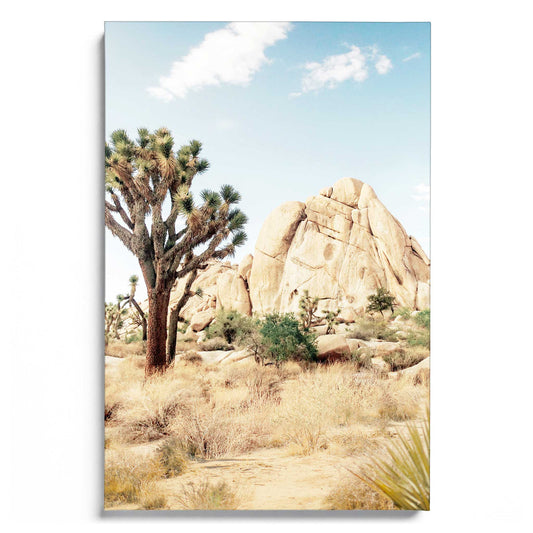 Arizona Charm