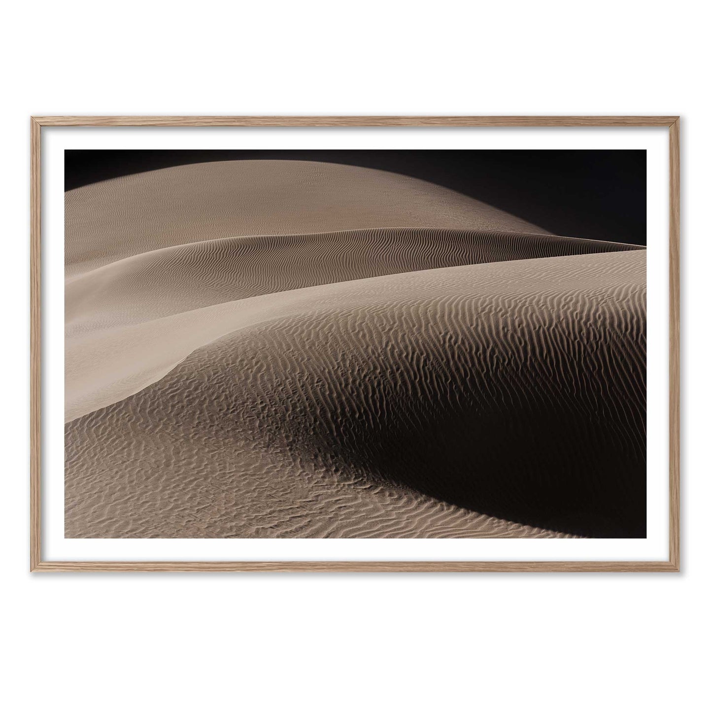 Art of the Desert