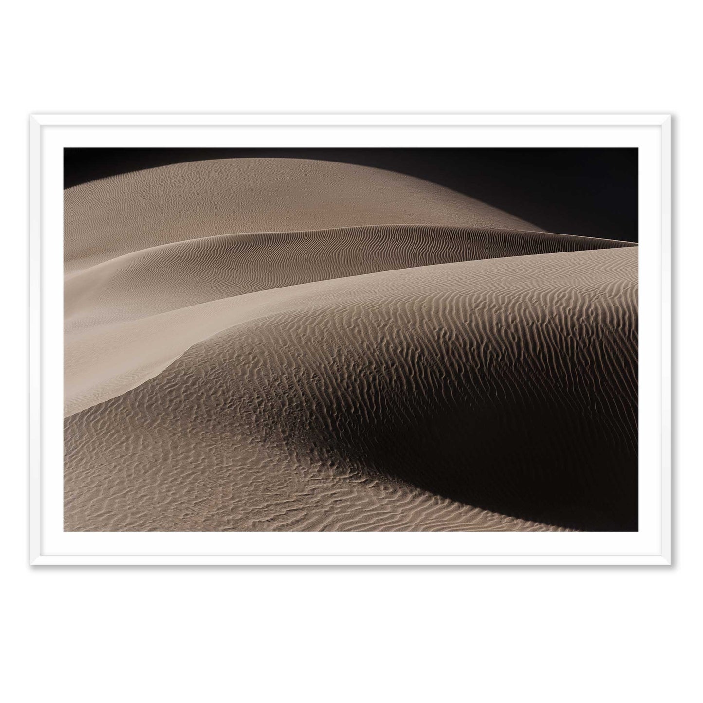 Art of the Desert