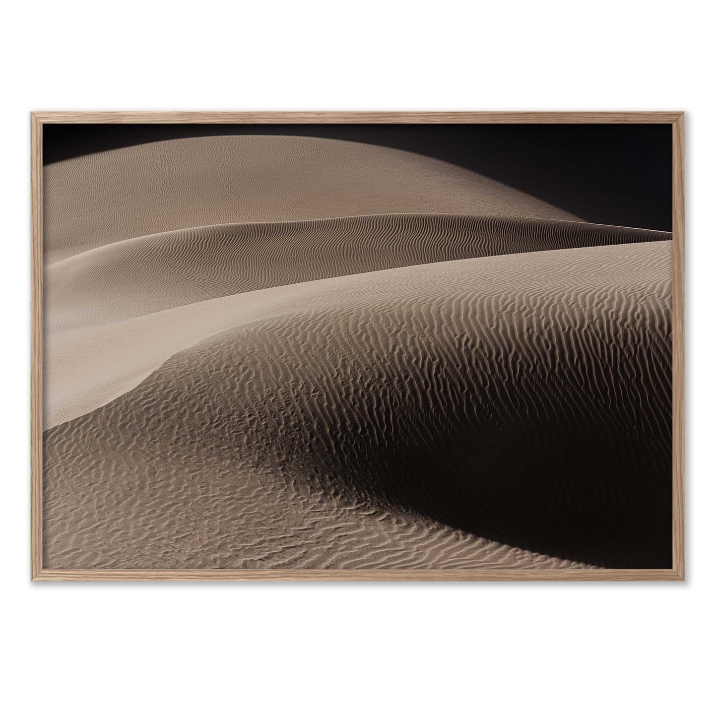Art of the Desert