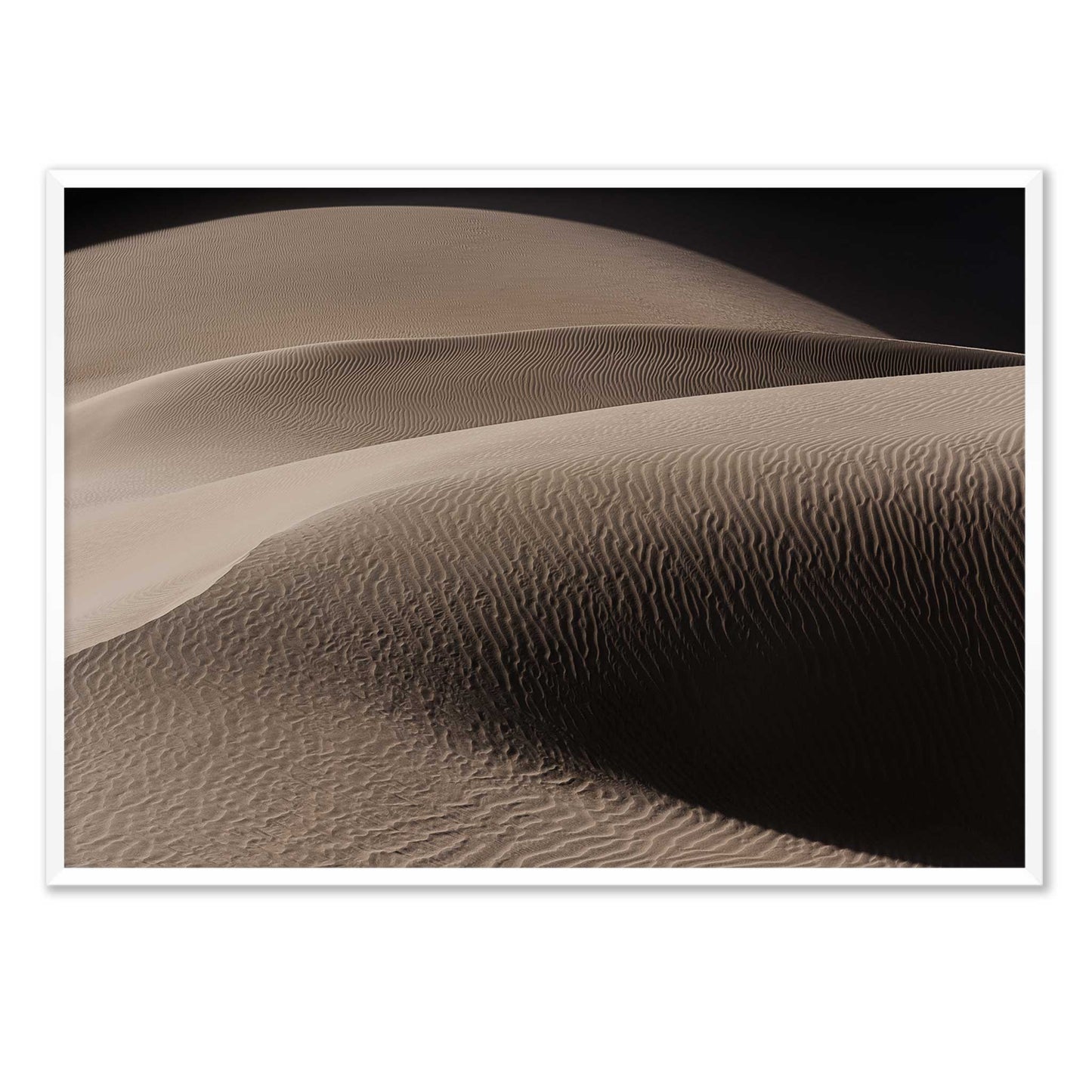 Art of the Desert