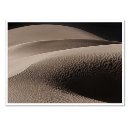 Art of the Desert