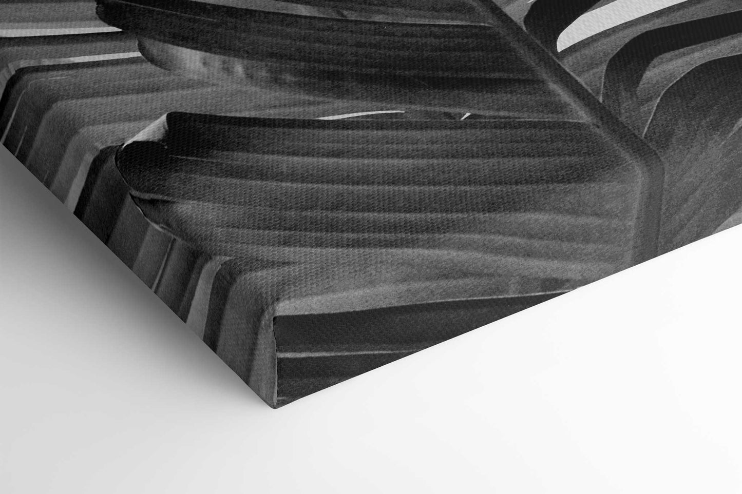 Banana Leaves B&W