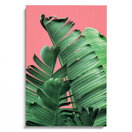 Banana Leaves in Pink