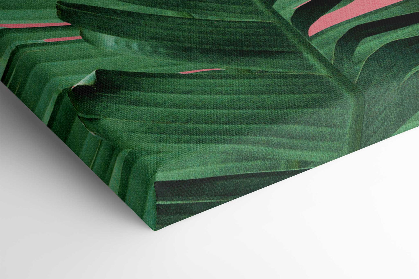 Banana Leaves in Pink
