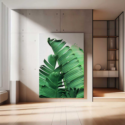 Banana Leaves