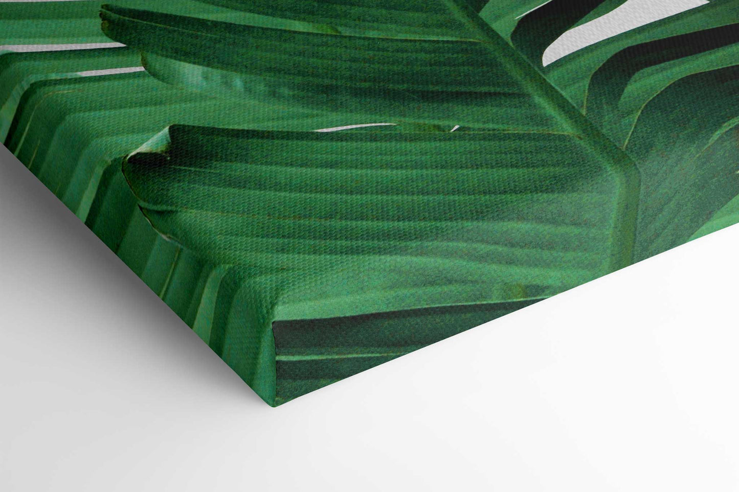 Banana Leaves