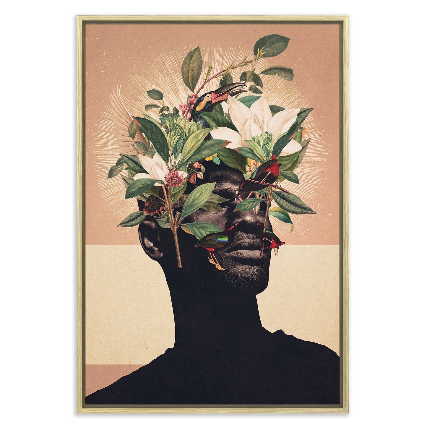 Birds are my Real Origin