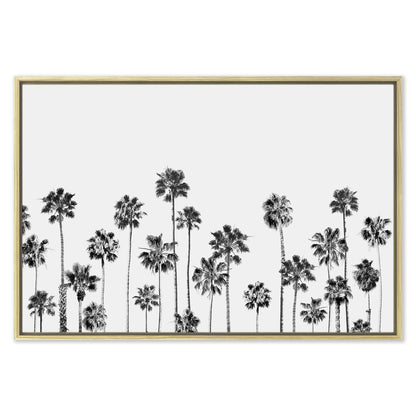 Black and White Palms 2