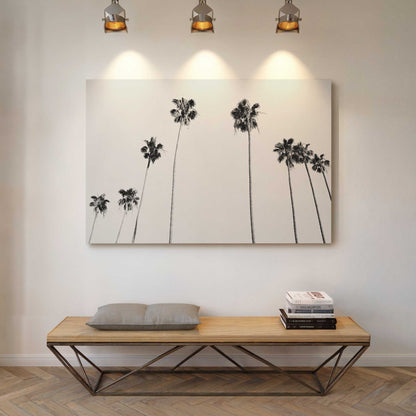 Black-and-White-Palms