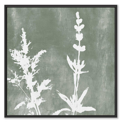 Botanical Whisper