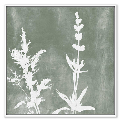 Botanical Whisper
