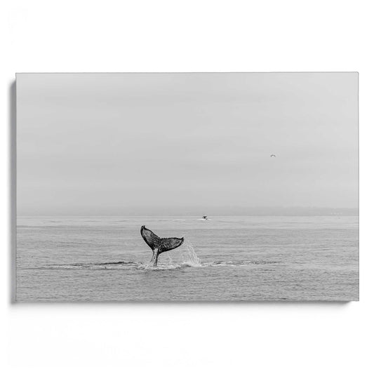 Breaching Fin