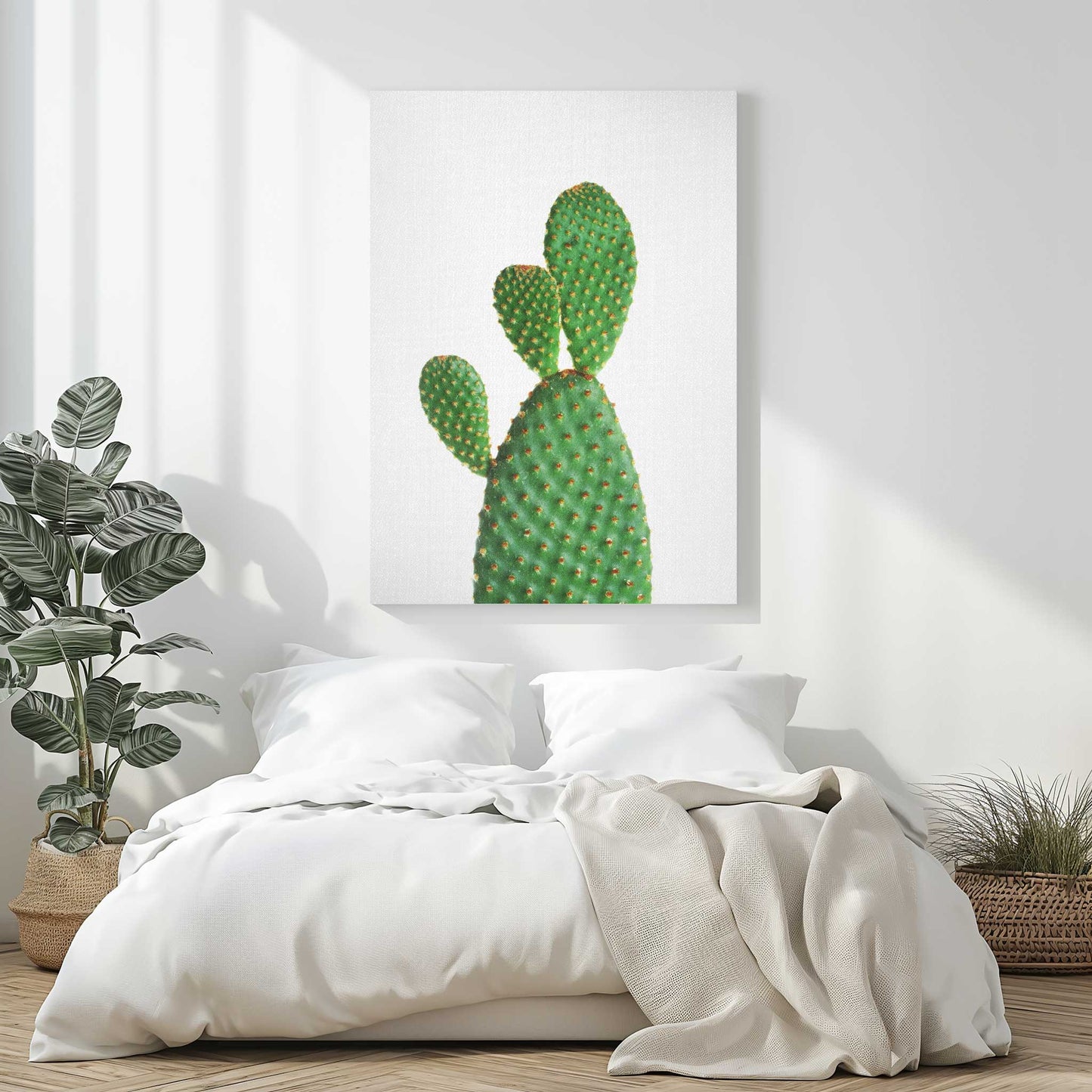Cactus 1
