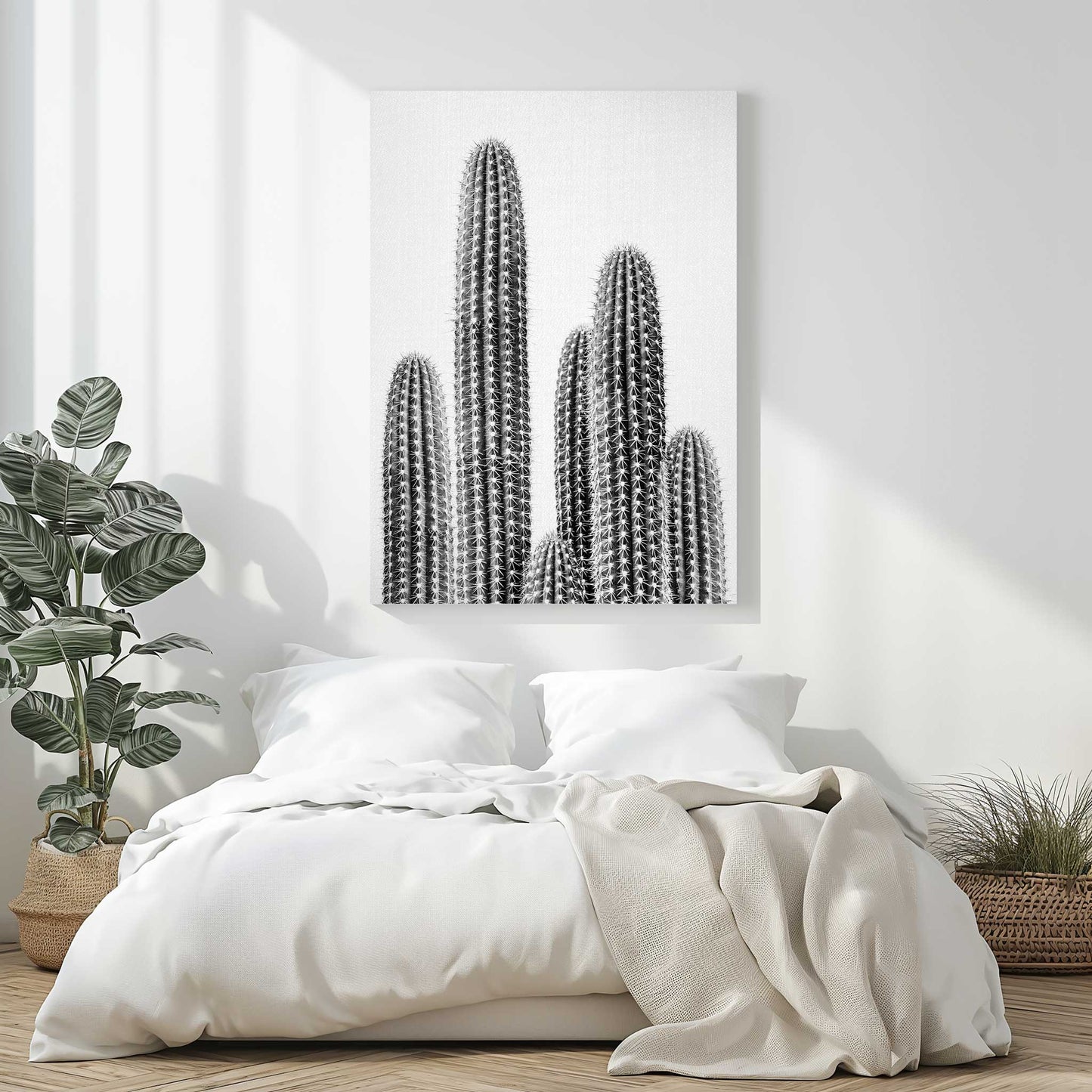 Cactus 2 B&W