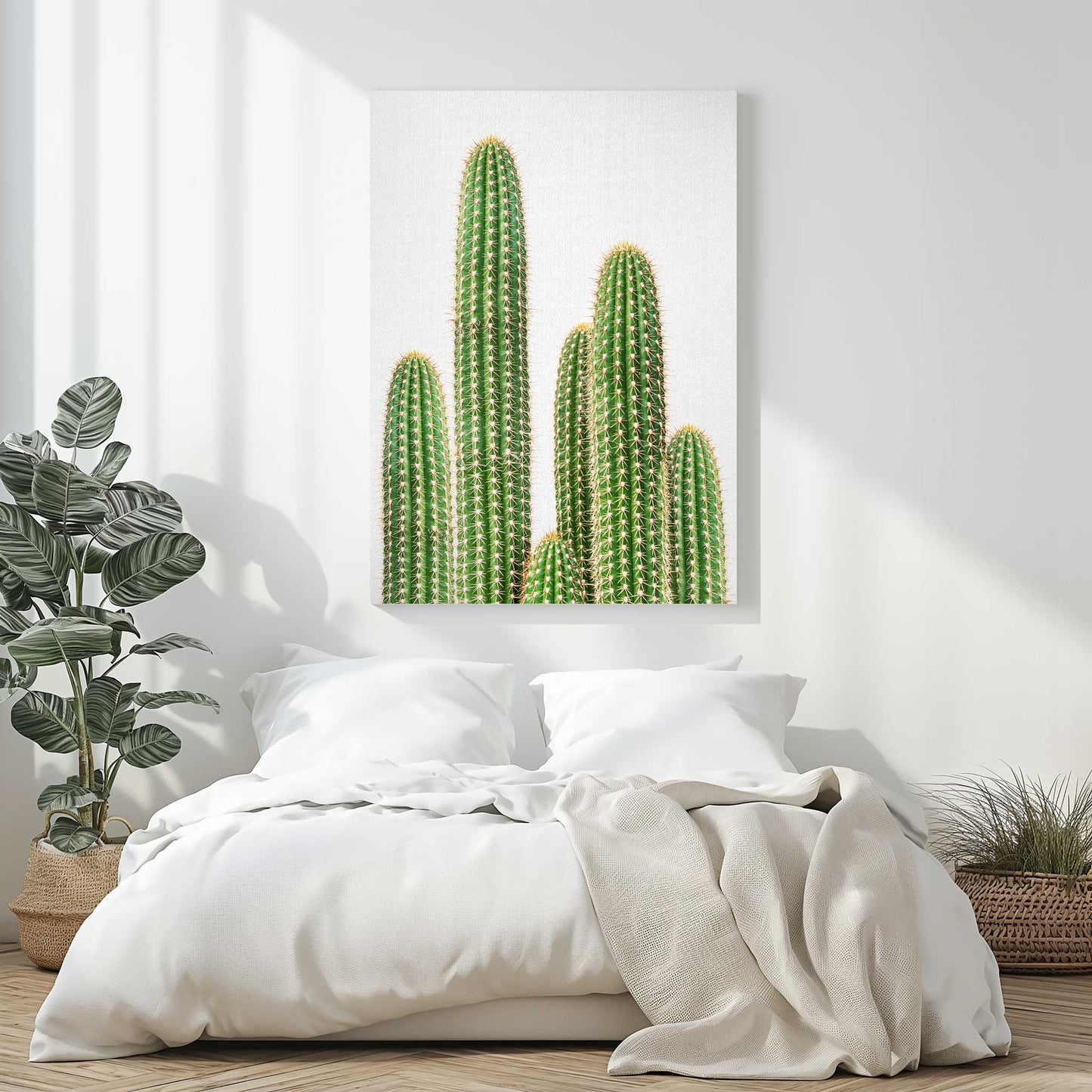 Cactus 2