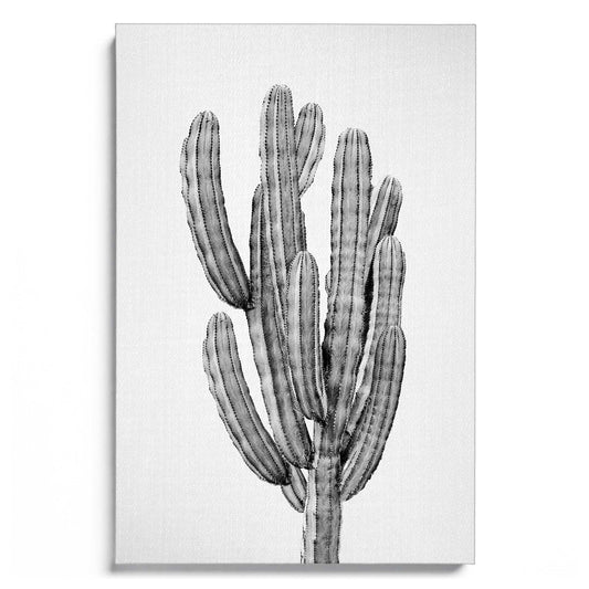 Cactus 3 B&W