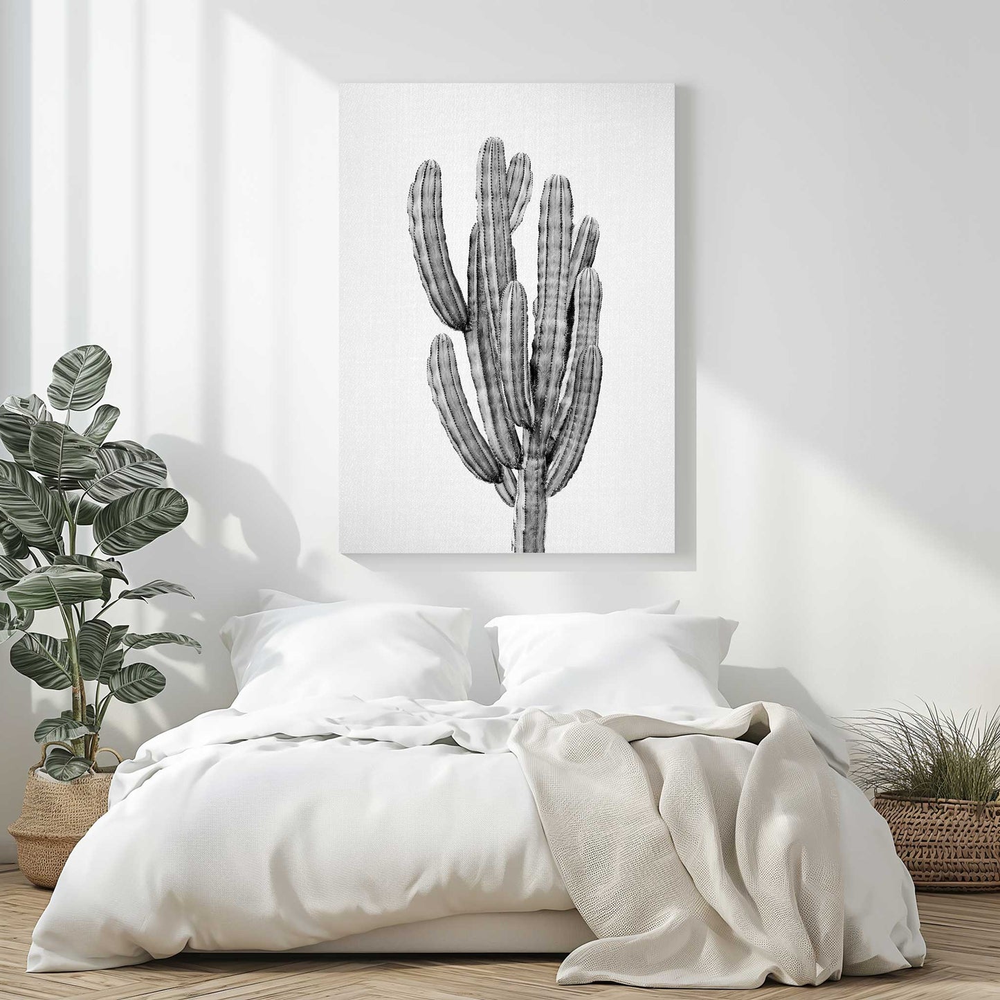 Cactus 3 B&W