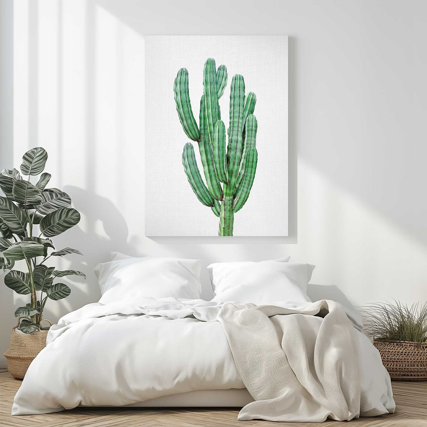 Cactus 3