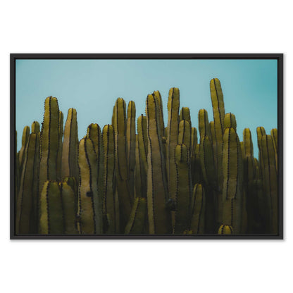 Cactus & Sky