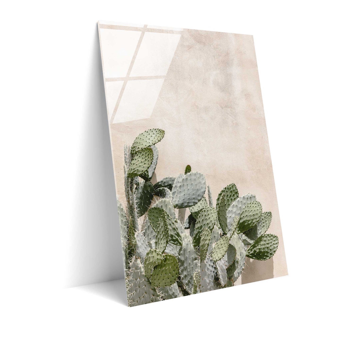Cactus at the Wall