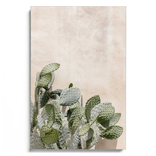 Cactus at the Wall