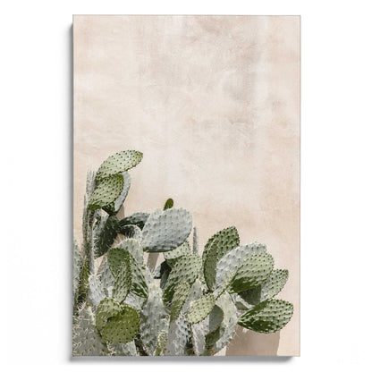 Cactus at the Wall