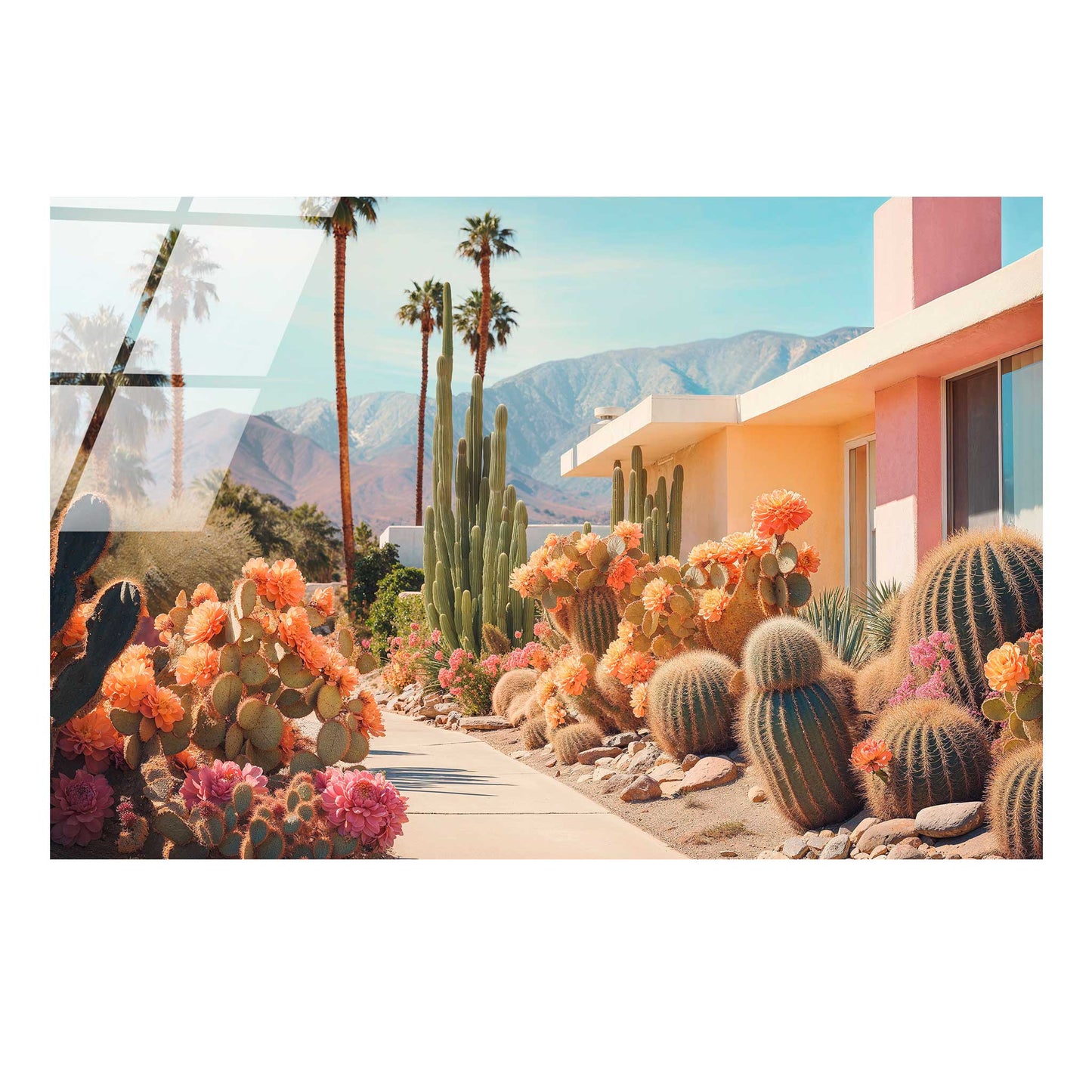 Cactusland