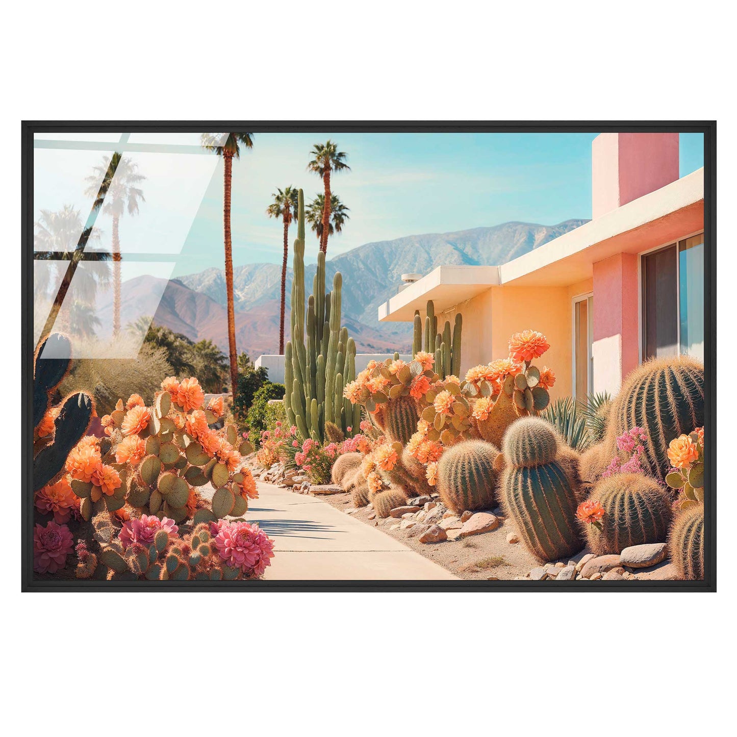 Cactusland