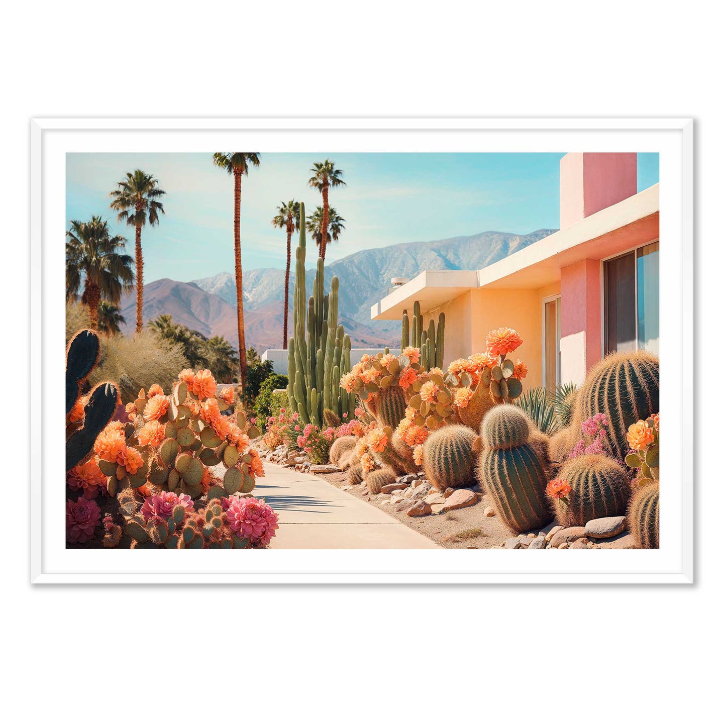 Cactusland