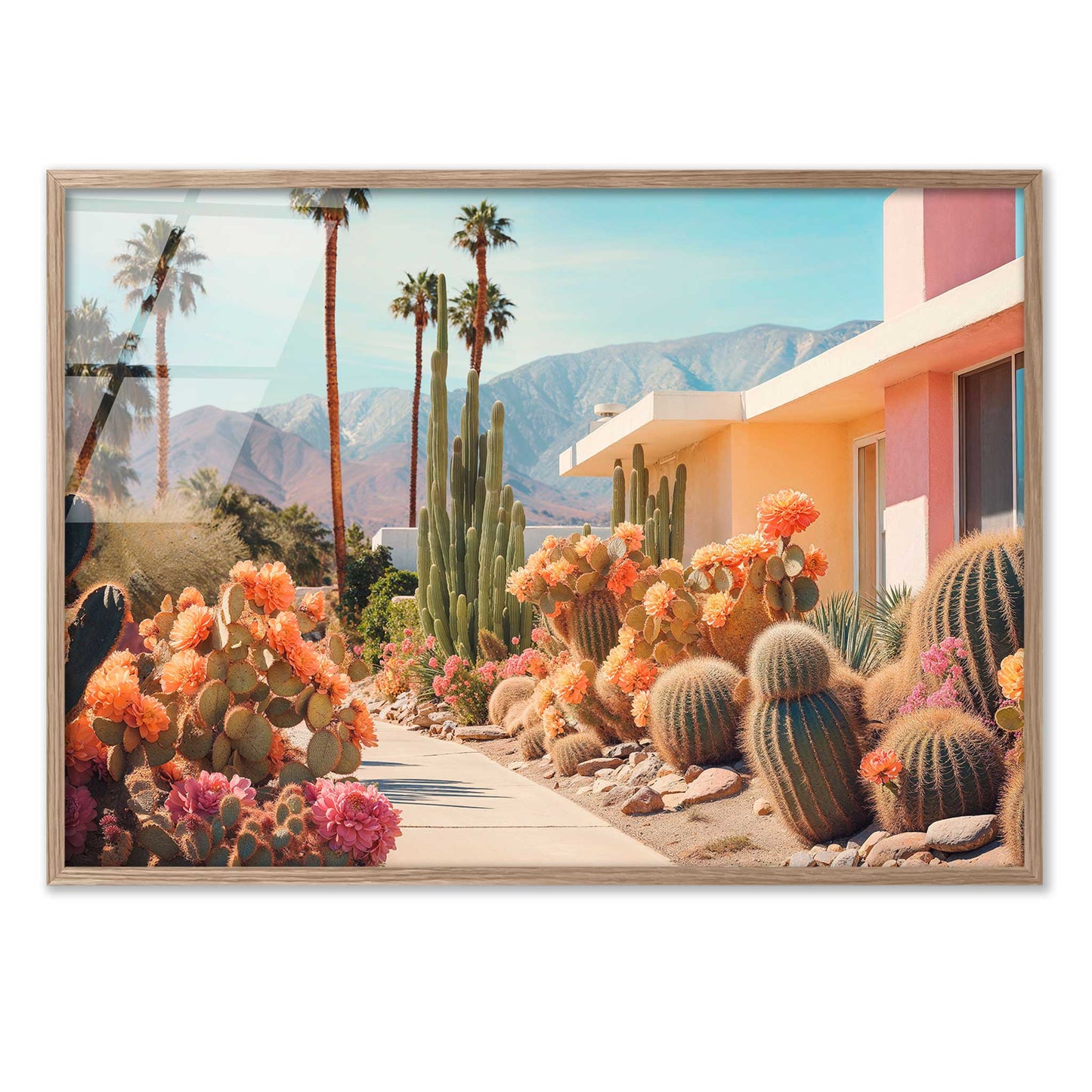 Cactusland