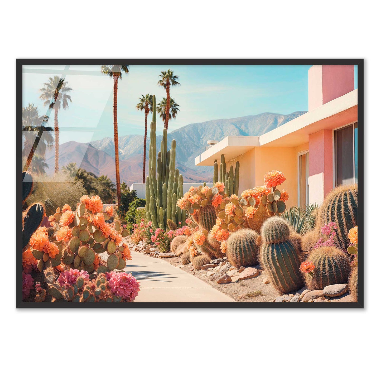 Cactusland