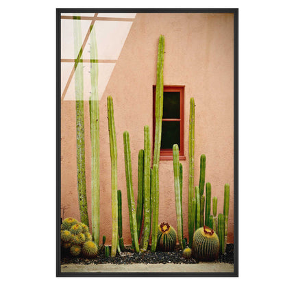 California Cactus