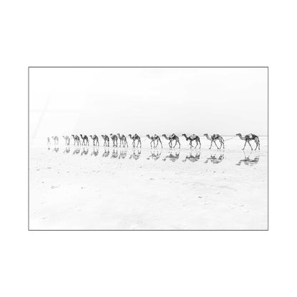 Camel Caravan