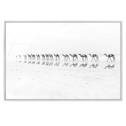 Camel Caravan