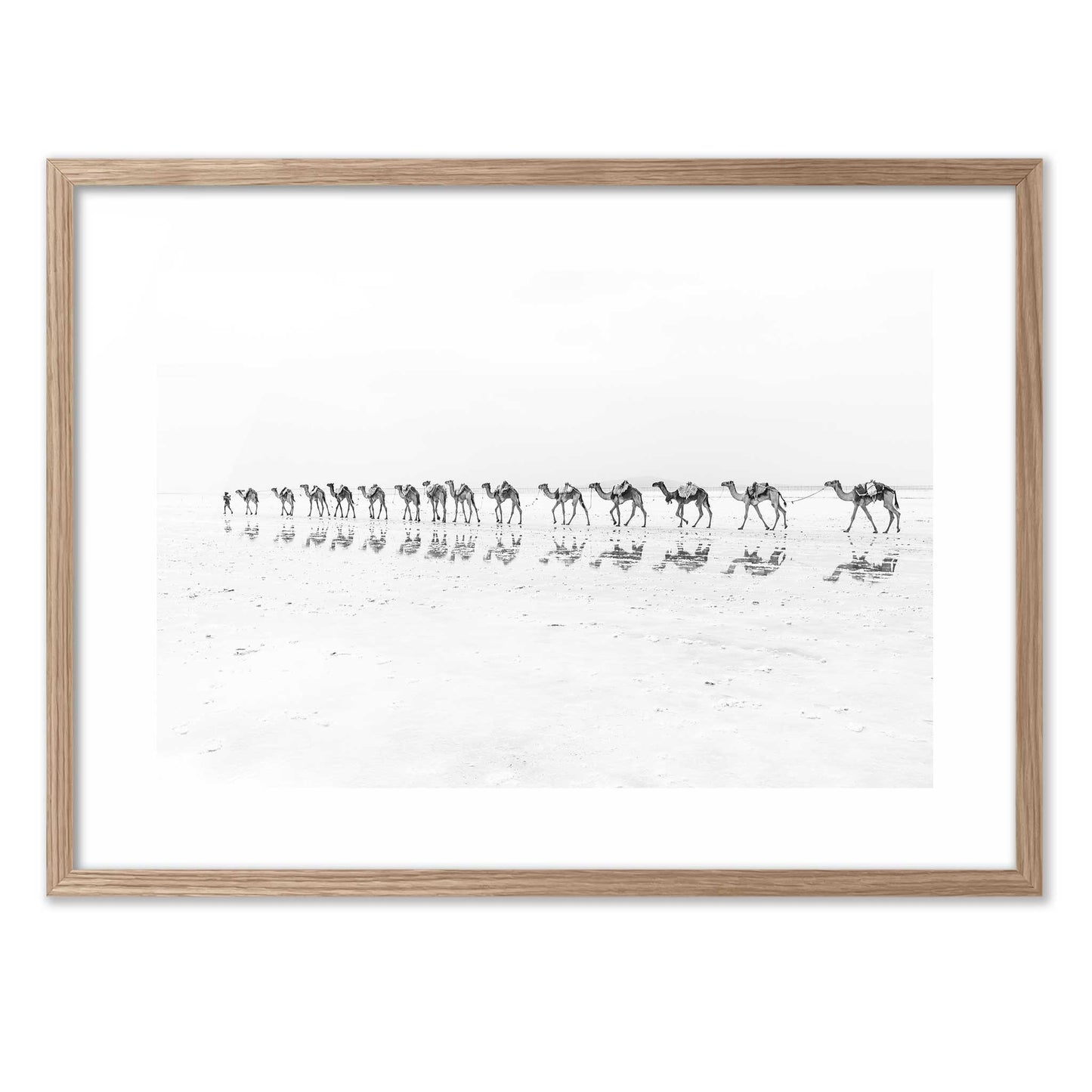 Camel Caravan