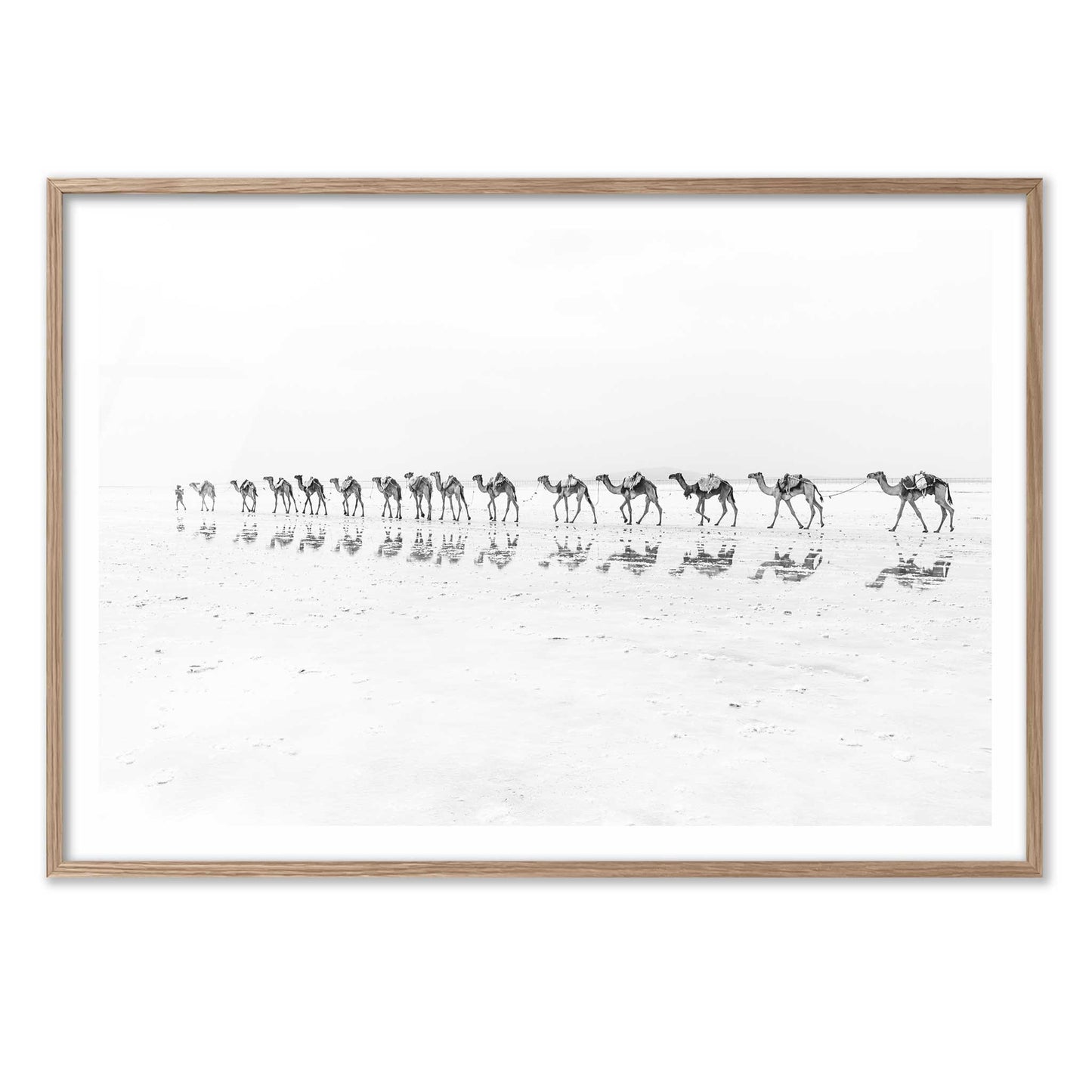 Camel Caravan