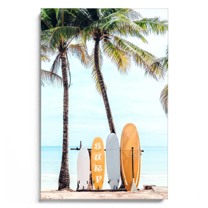 Choose your Surfboard