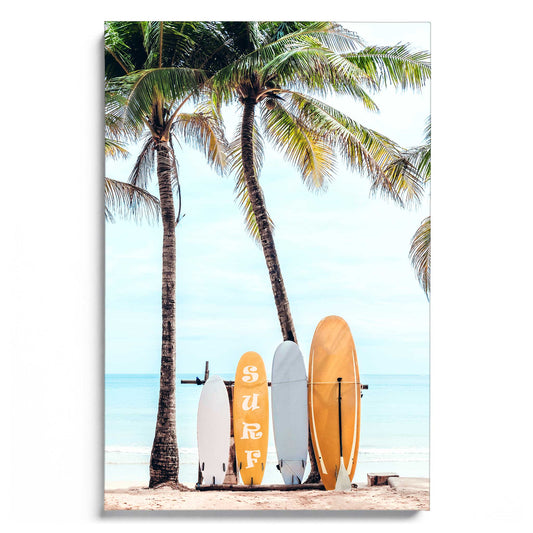 Choose your Surfboard